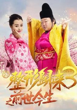 整形归来3前世今生