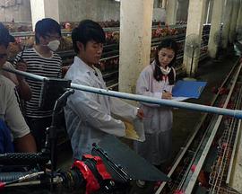 我和教授羊粪豆”