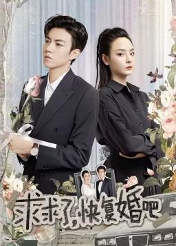 求求了快复婚吧