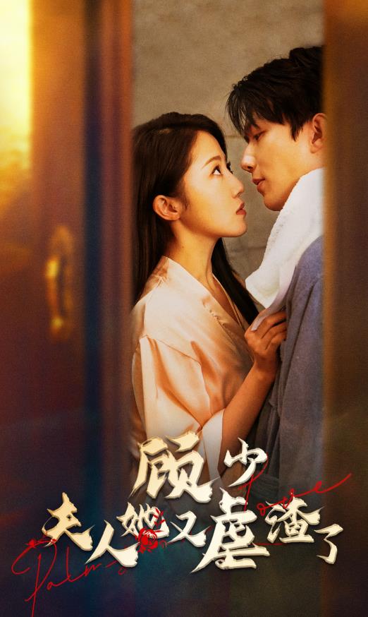 顾少夫人她又虐渣了