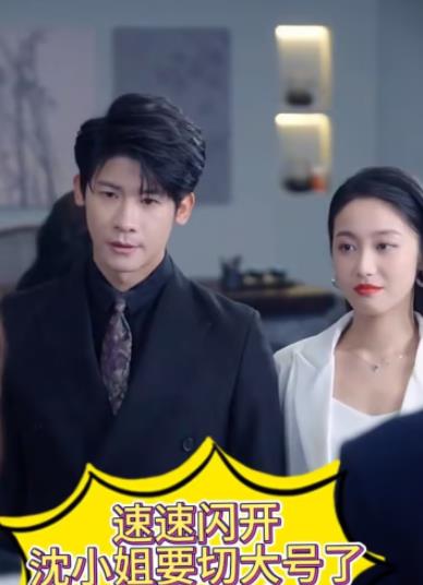 速速闪开沈小姐要切大号了