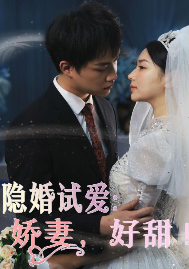 隐婚试爱娇妻好甜