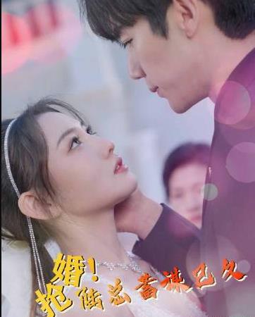 抢婚陆总蓄谋已久