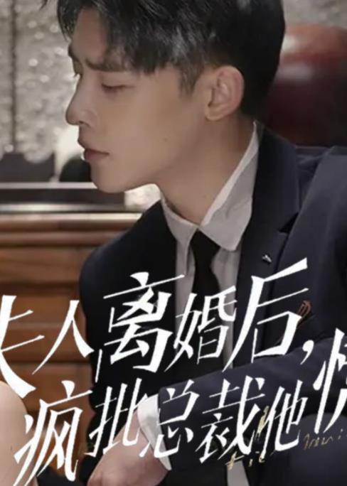 夫人离婚后疯批总裁他慌了