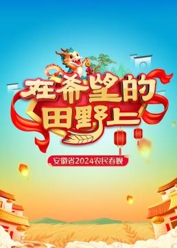 安徽省农民春晚