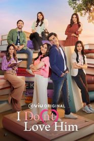 我不爱他第一季