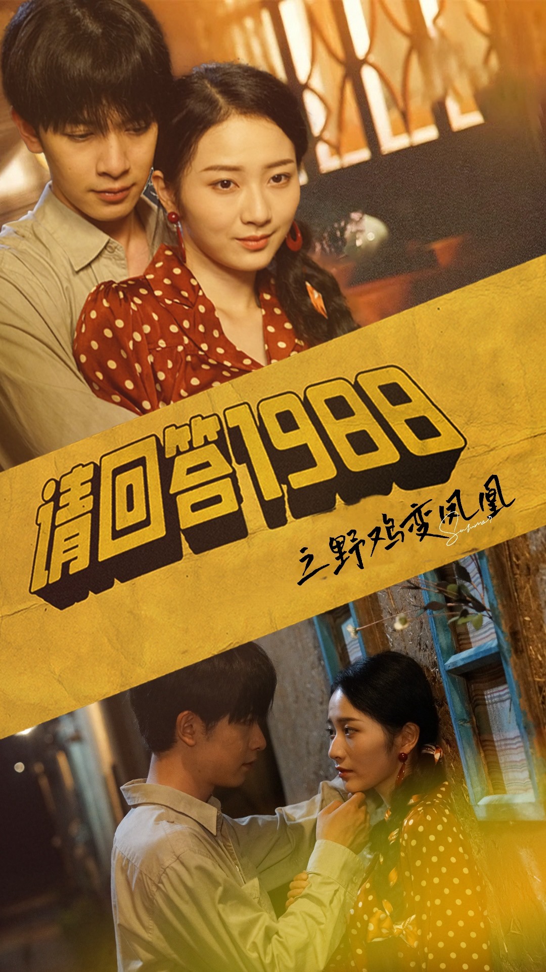 请回答之野鸡变凤凰