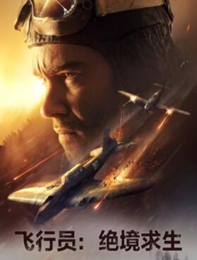 飞行员绝境求生