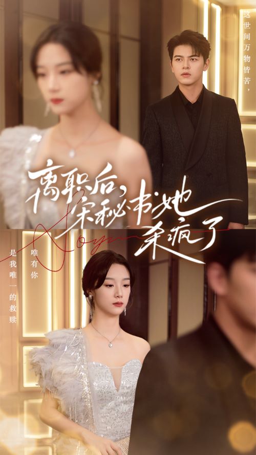 离职后宋秘书她杀疯了