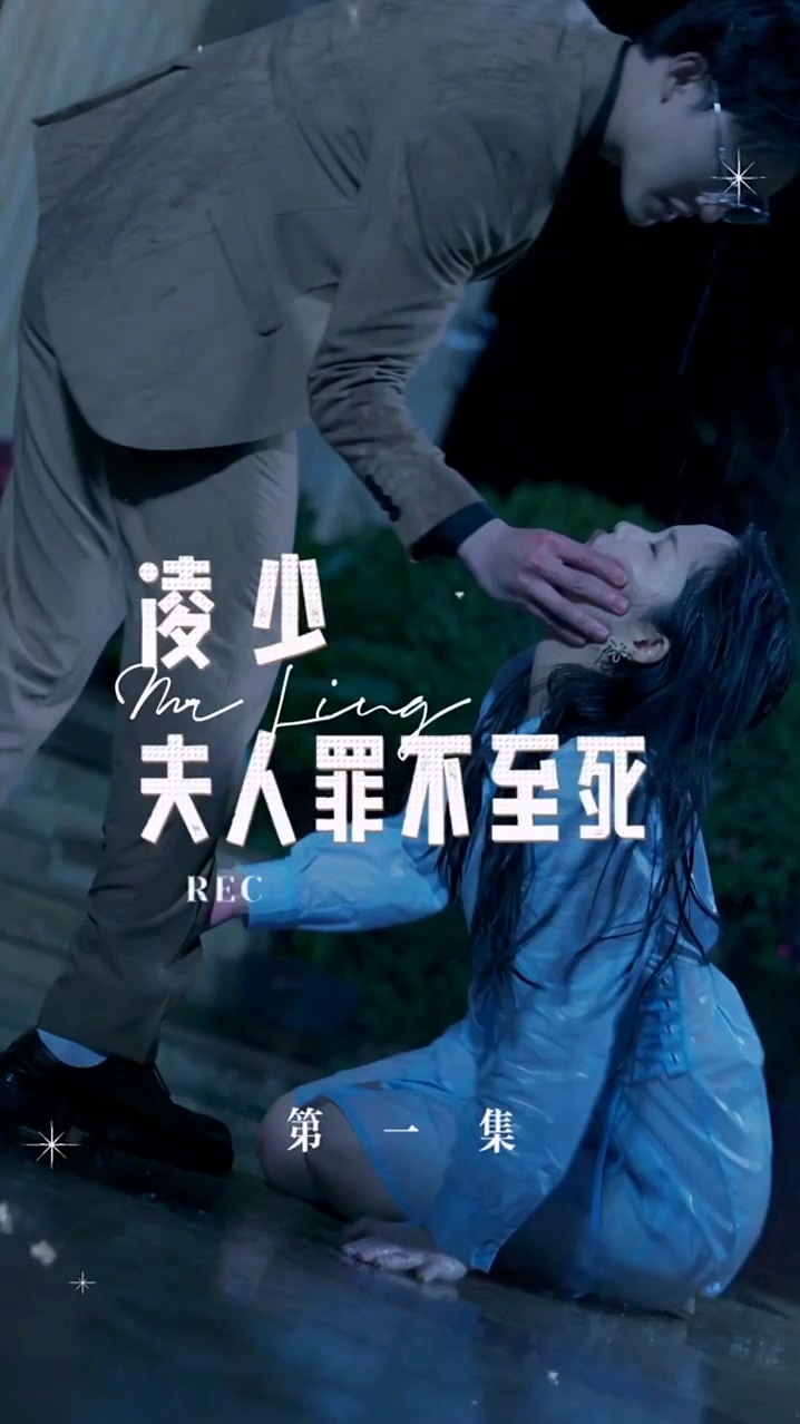 凌少夫人罪不至死合集