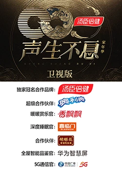 声生不息家年华卫视