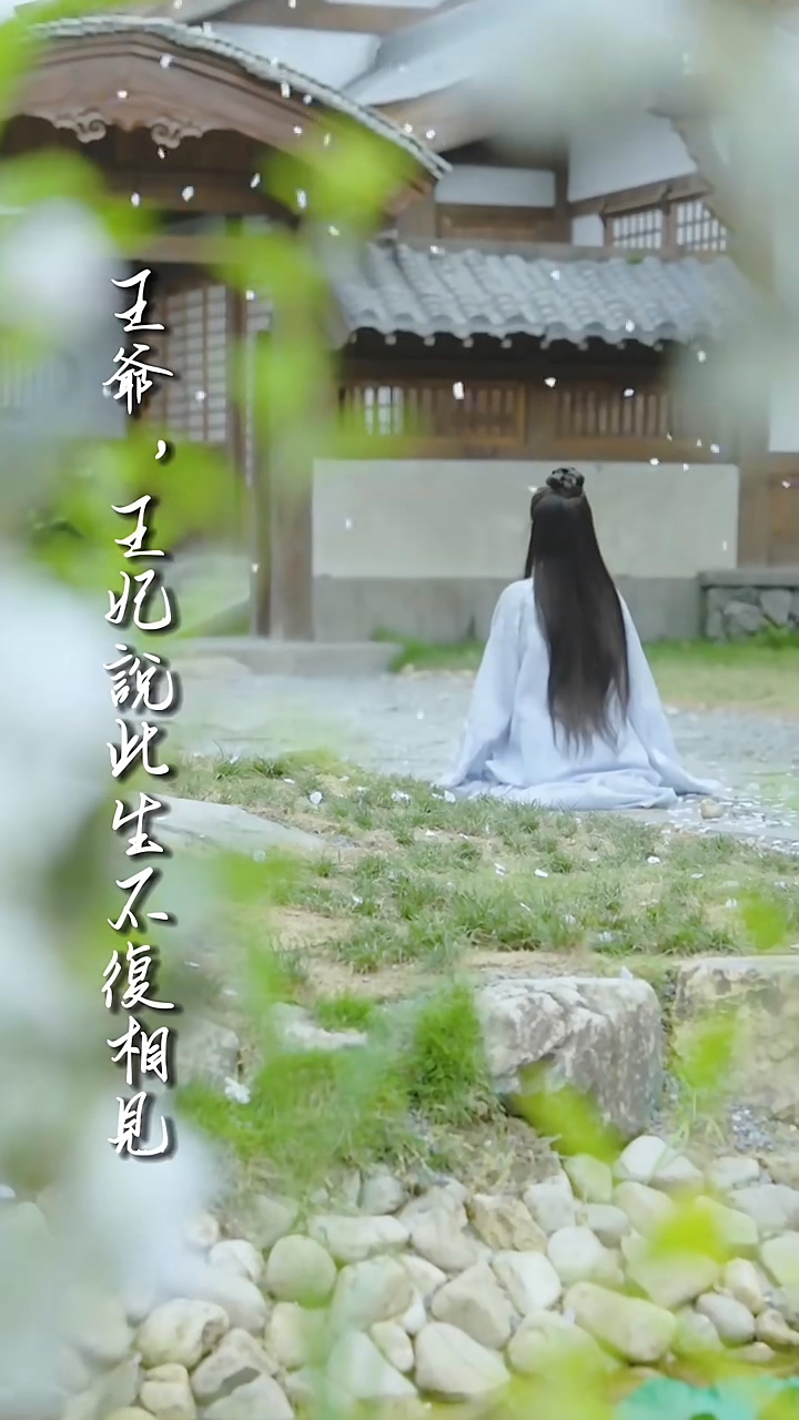 王爷王妃说此生不复相见