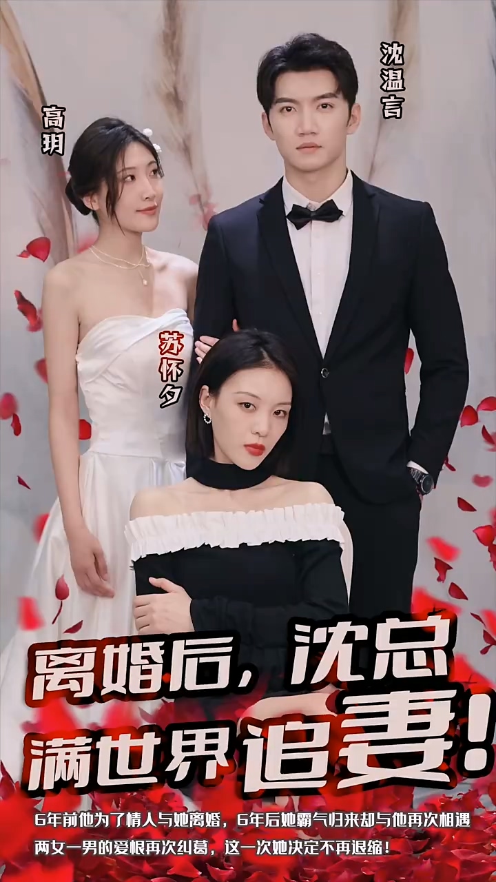 离婚后沈总满世界追妻