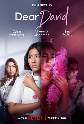 亲爱的大卫印尼