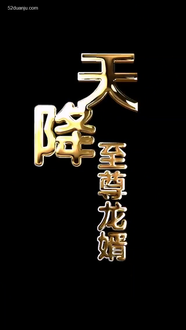 天降至尊龙婿合集