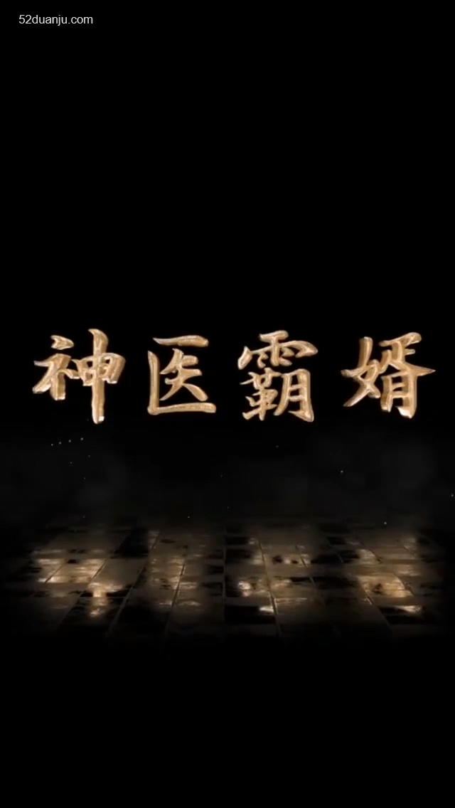 神医霸婿合集
