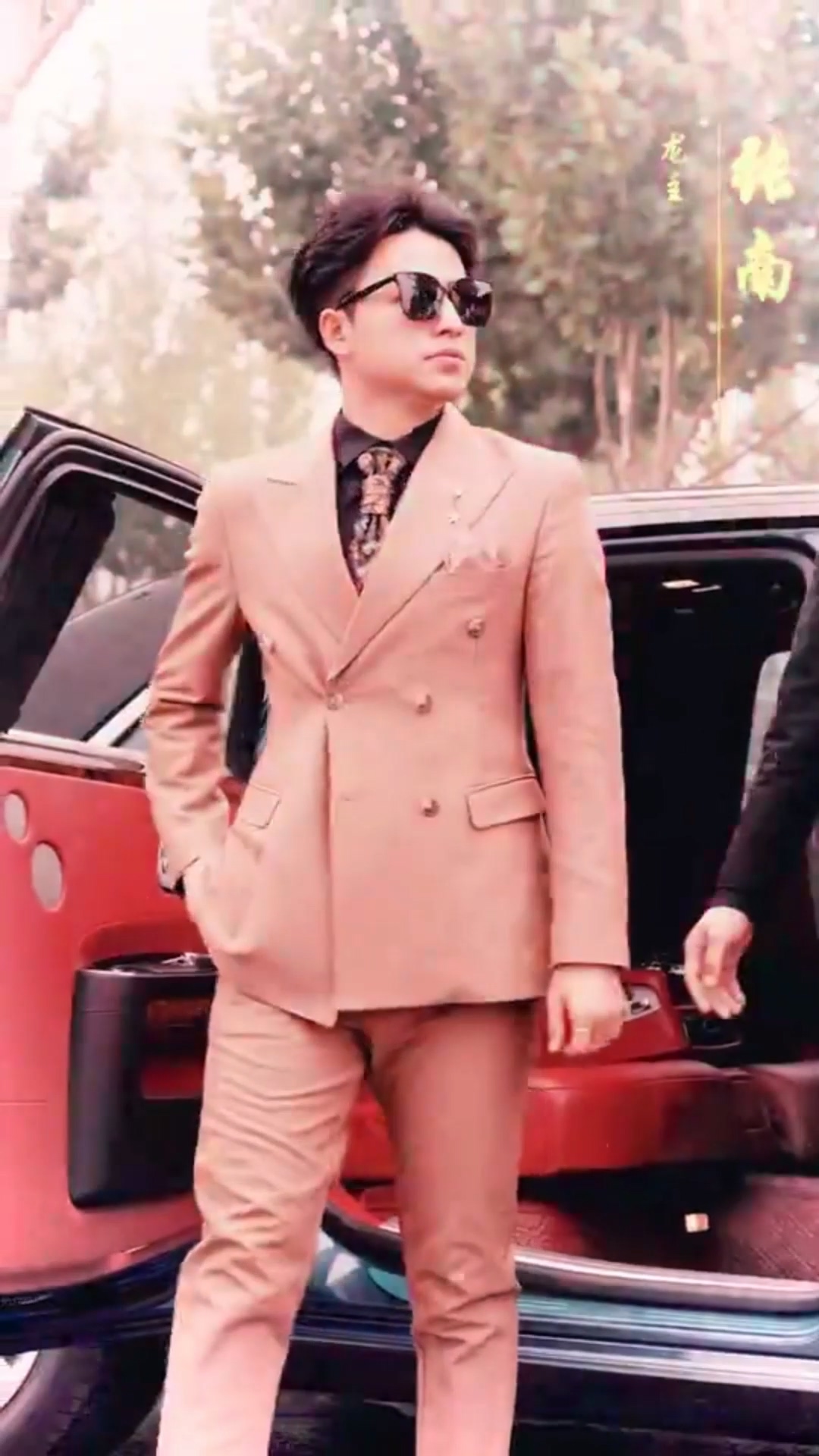 女总裁的绝世司机合集