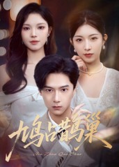 鸠占鹊巢顶流夫人的致命陷阱