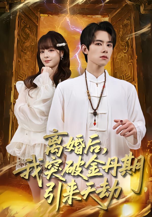 离婚后我突破金丹期引来天劫