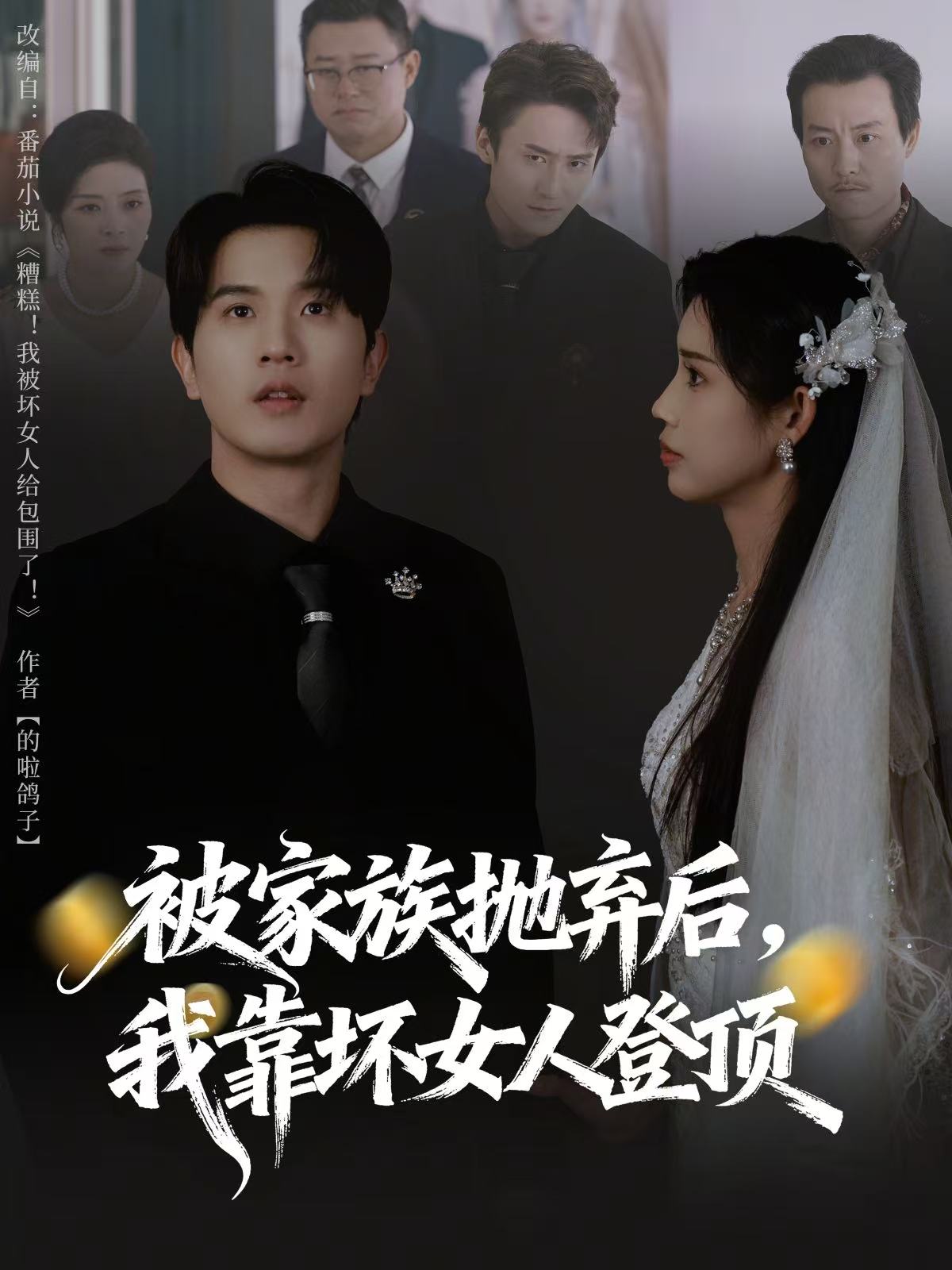 被家族抛弃后我靠坏女人登顶